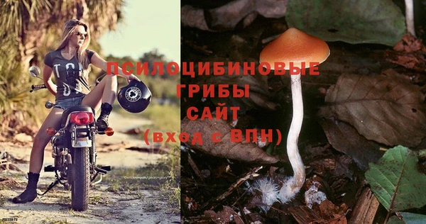 экстази Ростов