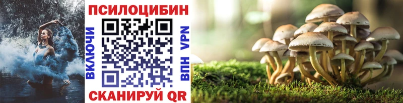 Псилоцибиновые грибы ЛСД дарнет шоп Холмск